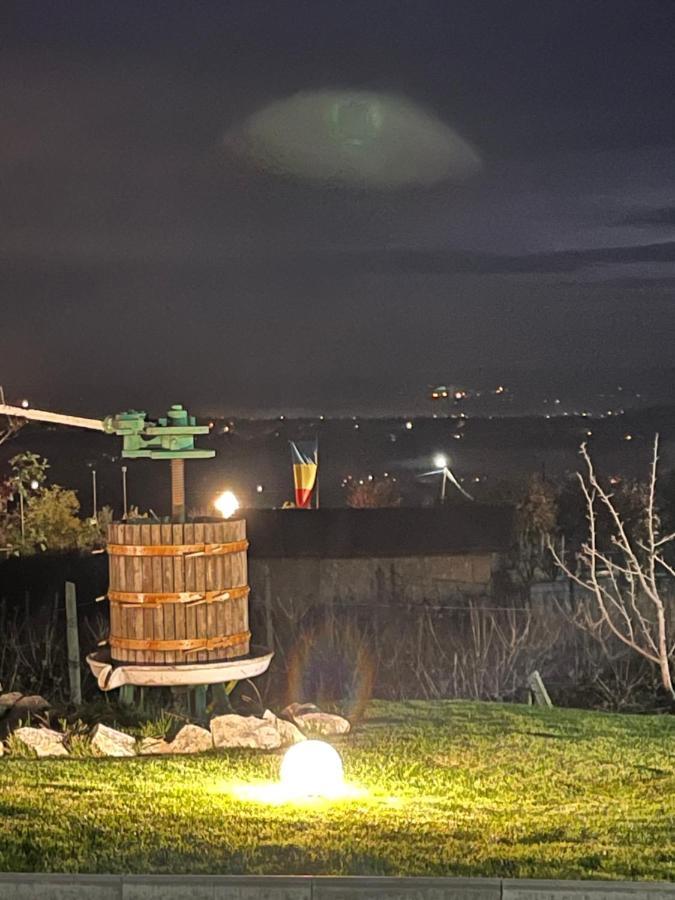투르다 Caravans Park & Glamping Tents In The Vineyard 빌라 외부 사진