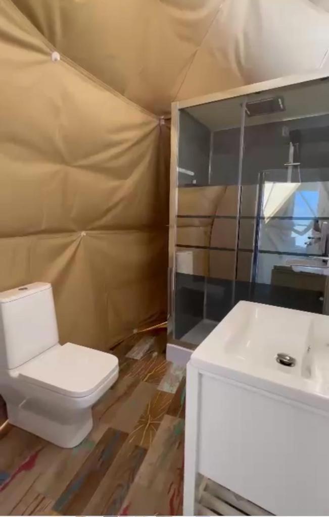 투르다 Caravans Park & Glamping Tents In The Vineyard 빌라 외부 사진