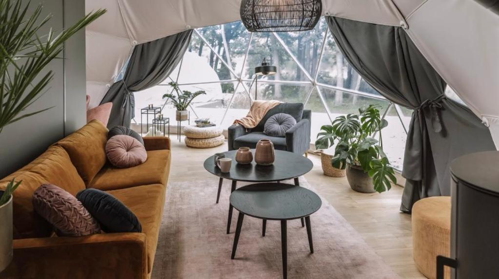 투르다 Caravans Park & Glamping Tents In The Vineyard 빌라 외부 사진