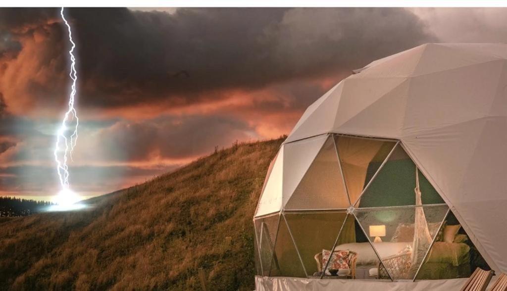 투르다 Caravans Park & Glamping Tents In The Vineyard 빌라 외부 사진